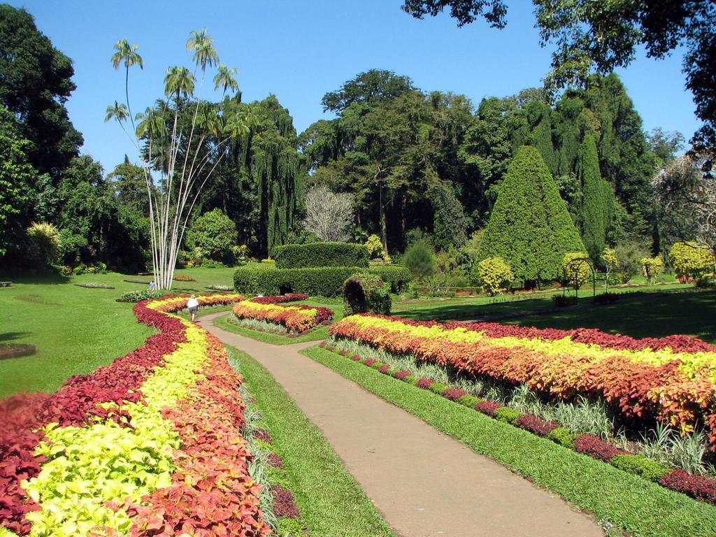 Kandy View Villa Kültér fotó